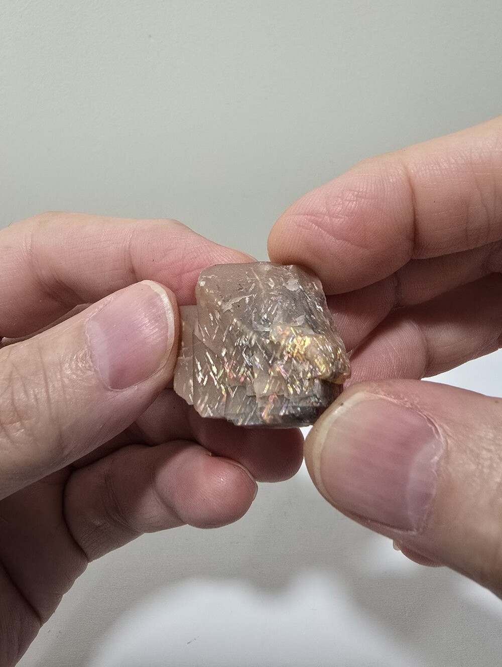 Rainbow Lattice Sunstone Crystal Specimen (small) #D